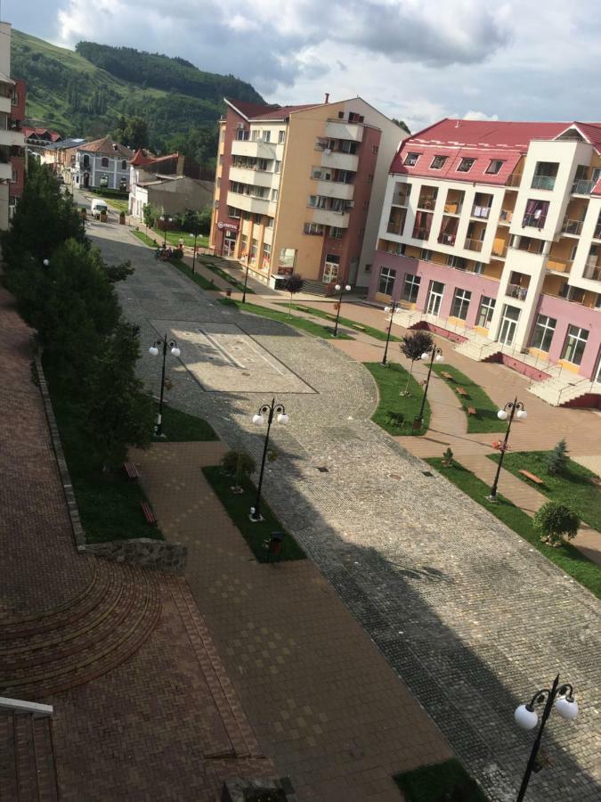 Apartament Antonia Apartman Aknavásár Kültér fotó