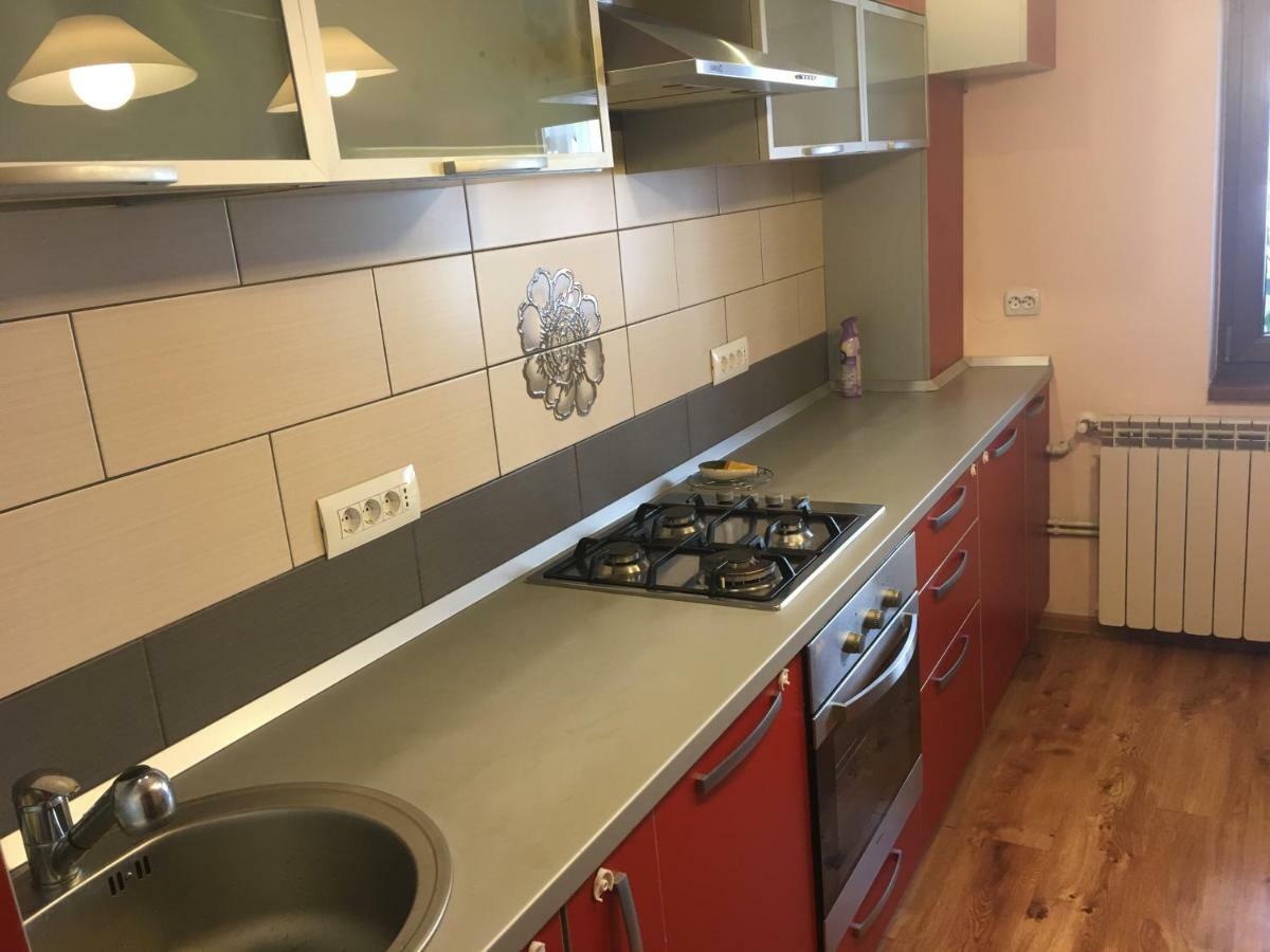 Apartament Antonia Apartman Aknavásár Kültér fotó