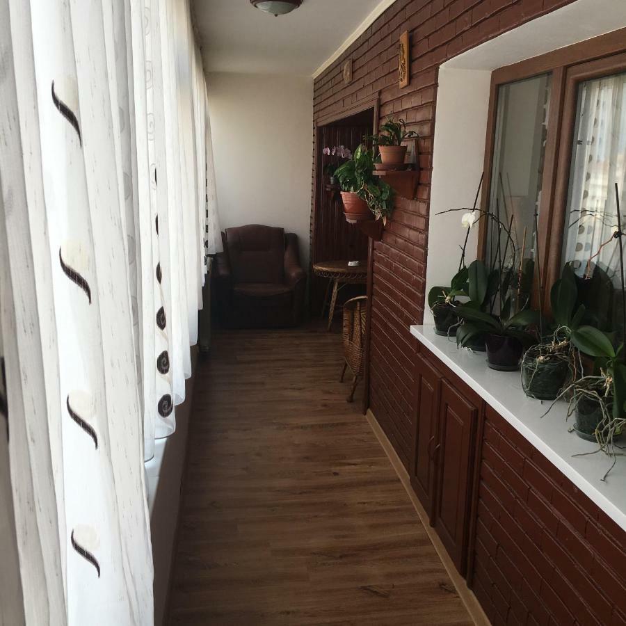 Apartament Antonia Apartman Aknavásár Kültér fotó