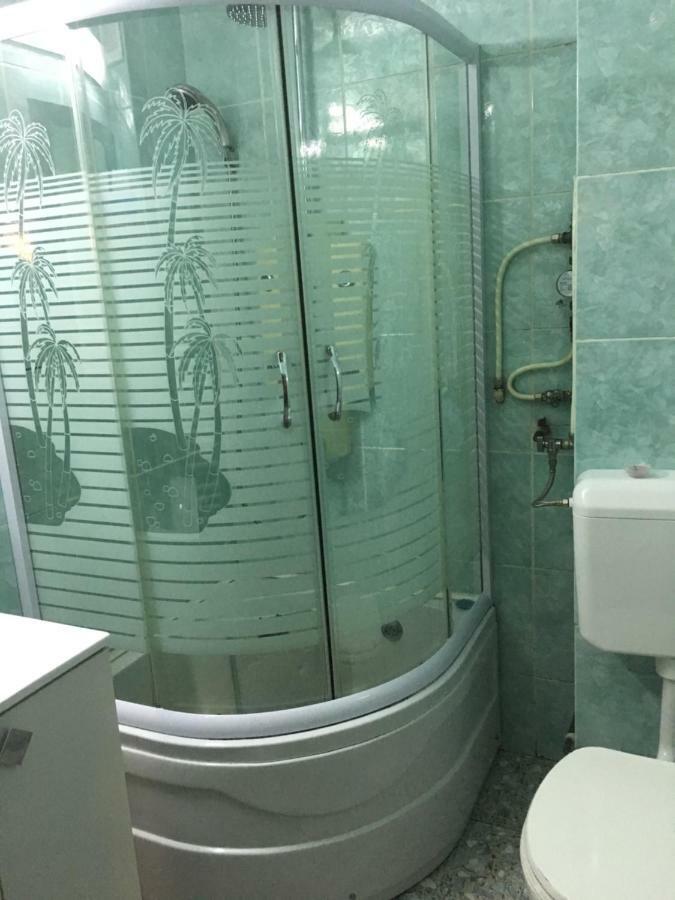 Apartament Antonia Apartman Aknavásár Kültér fotó