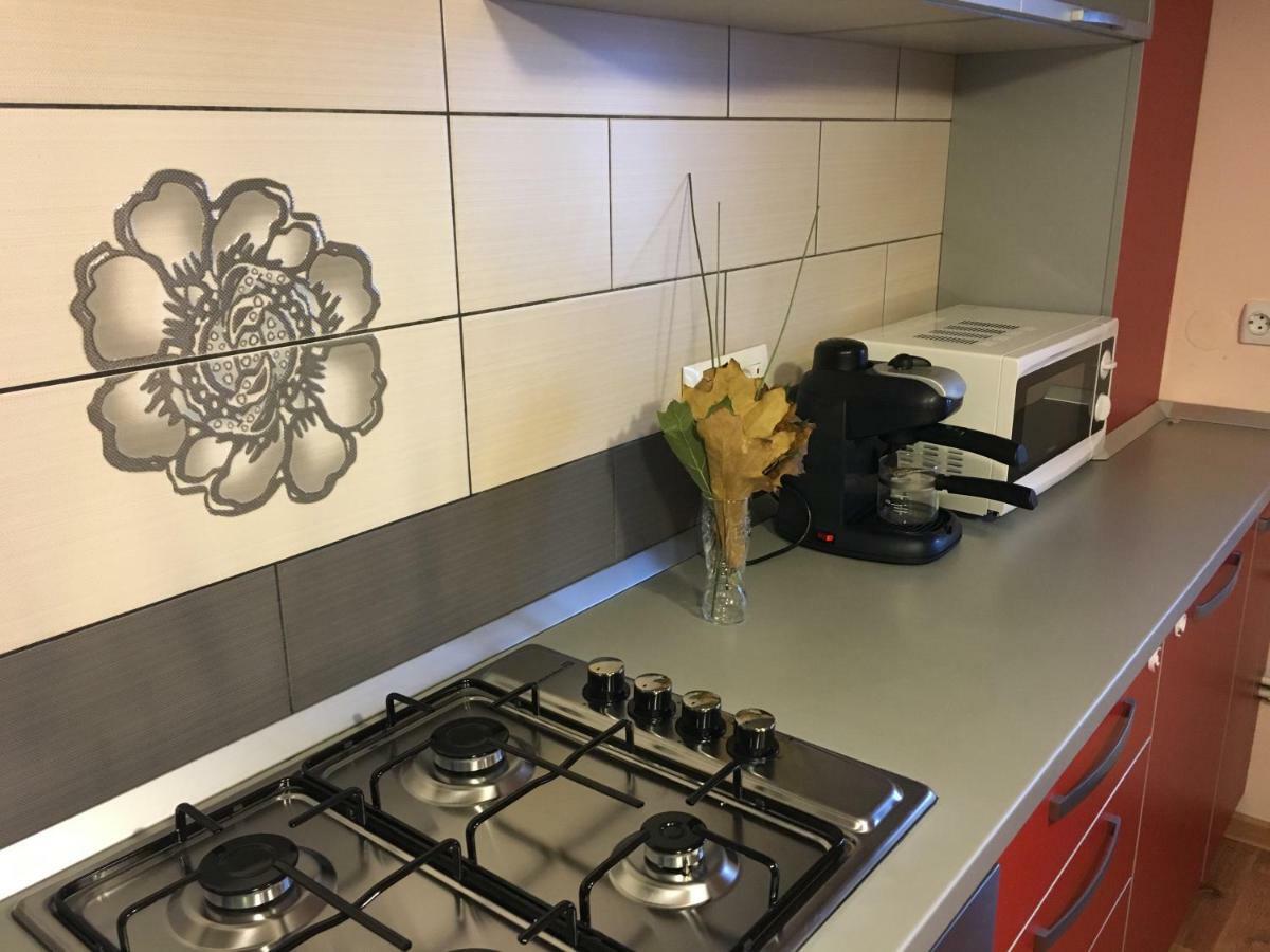Apartament Antonia Apartman Aknavásár Kültér fotó
